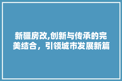 新疆房改,创新与传承的完美结合，引领城市发展新篇章