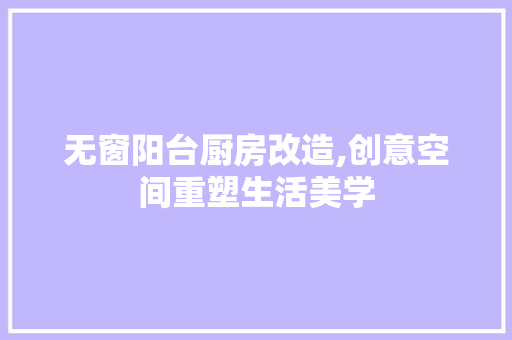 无窗阳台厨房改造,创意空间重塑生活美学