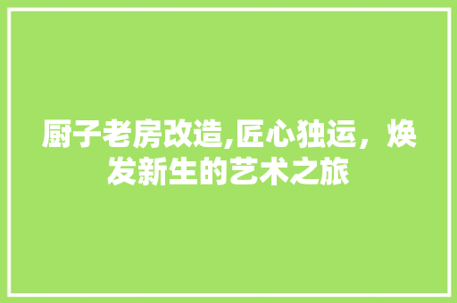 厨子老房改造,匠心独运，焕发新生的艺术之旅