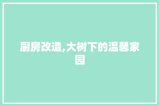 厨房改造,大树下的温馨家园 装修攻略