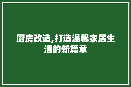 厨房改造,打造温馨家居生活的新篇章 庭院装修