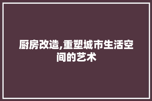 厨房改造,重塑城市生活空间的艺术