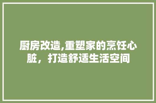 厨房改造,重塑家的烹饪心脏，打造舒适生活空间