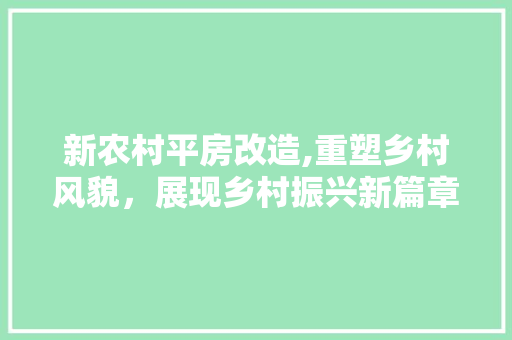 新农村平房改造,重塑乡村风貌，展现乡村振兴新篇章 建筑设计