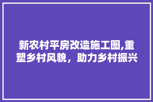 新农村平房改造施工图,重塑乡村风貌，助力乡村振兴