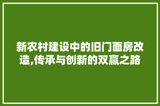 新农村建设中的旧门面房改造,传承与创新的双赢之路