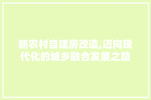 新农村自建房改造,迈向现代化的城乡融合发展之路