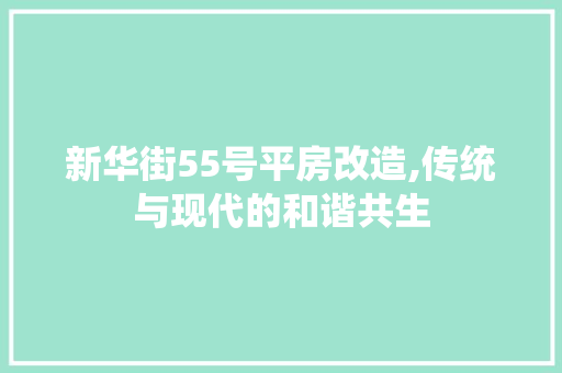 新华街55号平房改造,传统与现代的和谐共生 隔断设计