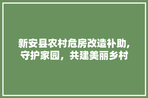 新安县农村危房改造补助,守护家园，共建美丽乡村