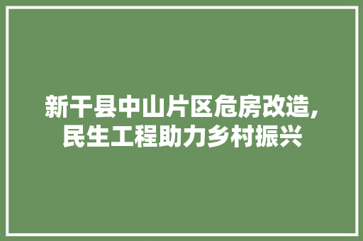 新干县中山片区危房改造,民生工程助力乡村振兴