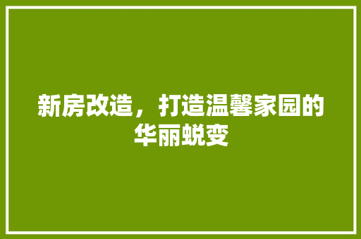 新房改造,打造温馨家园的华丽蜕变