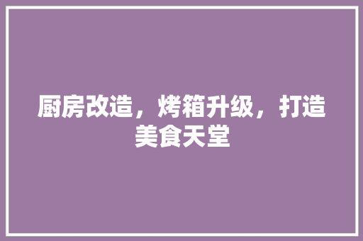 厨房改造，烤箱升级，打造美食天堂 装修材料