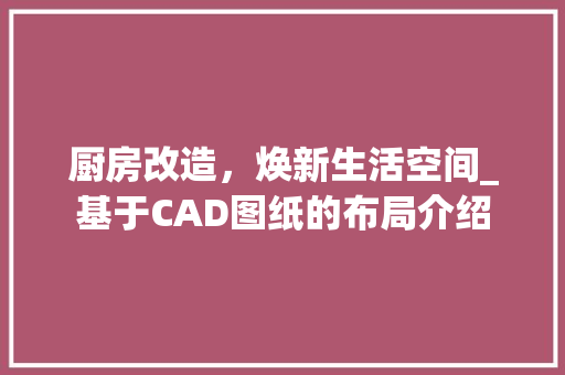 厨房改造，焕新生活空间_基于CAD图纸的布局介绍 墙面装饰