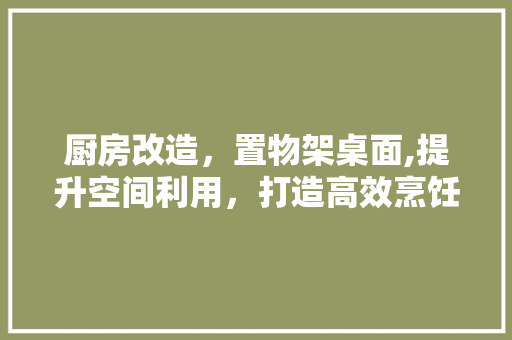 厨房改造，置物架桌面,提升空间利用，打造高效烹饪环境 装修材料