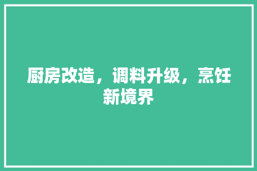 厨房改造，调料升级，烹饪新境界