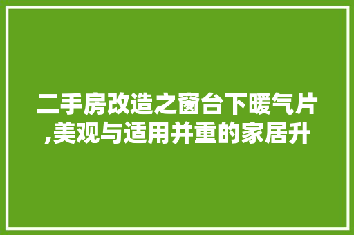 二手房改造之窗台下暖气片,美观与适用并重的家居升级之路 地面装修