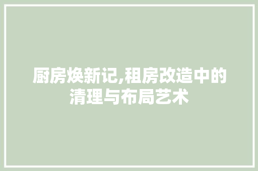 厨房焕新记,租房改造中的清理与布局艺术