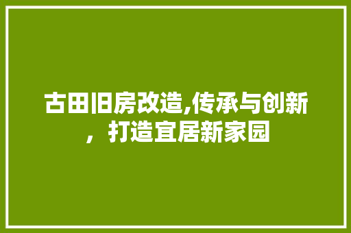 古田旧房改造,传承与创新，打造宜居新家园