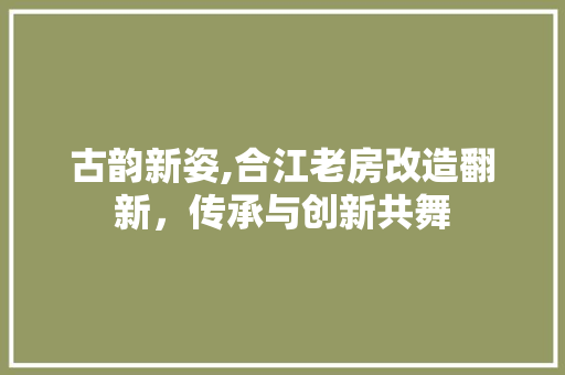 古韵新姿,合江老房改造翻新，传承与创新共舞 装修攻略