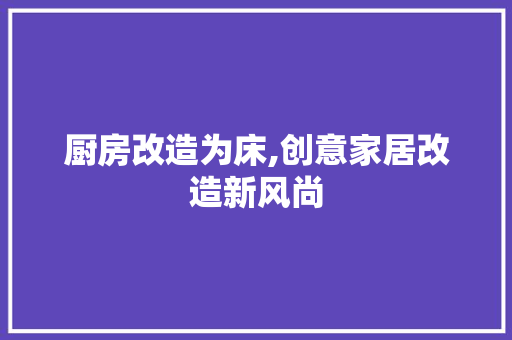 厨房改造为床,创意家居改造新风尚 装修攻略