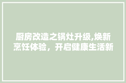 厨房改造之锅灶升级,焕新烹饪体验，开启健康生活新篇章