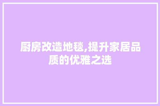厨房改造地毯,提升家居品质的优雅之选