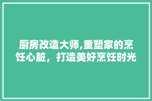 厨房改造大师,重塑家的烹饪心脏，打造美好烹饪时光