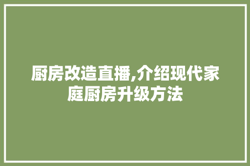 厨房改造直播,介绍现代家庭厨房升级方法