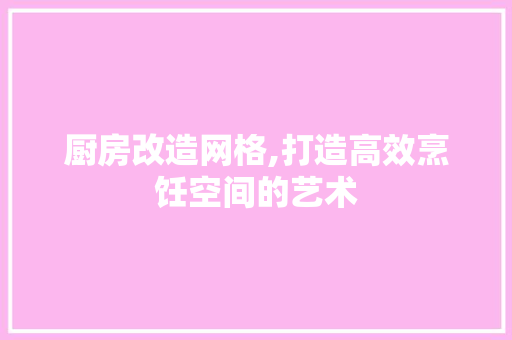 厨房改造网格,打造高效烹饪空间的艺术 门窗装修