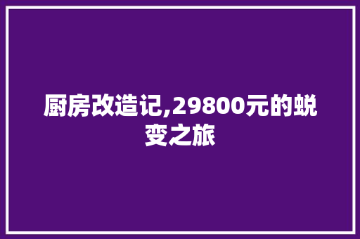 厨房改造记,29800元的蜕变之旅