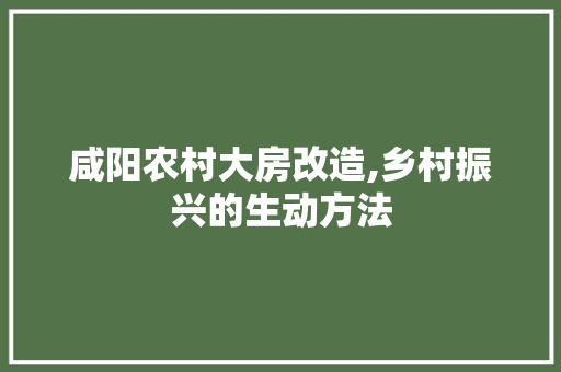 咸阳农村大房改造,乡村振兴的生动方法 墙面装饰 咸阳农村大房改造,乡村振兴的生动方法 墙面装饰