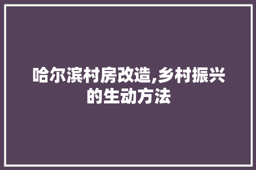 哈尔滨村房改造,乡村振兴的生动方法