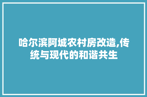哈尔滨阿城农村房改造,传统与现代的和谐共生