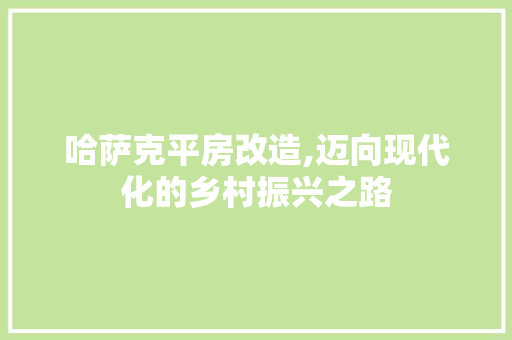 哈萨克平房改造,迈向现代化的乡村振兴之路 装修攻略