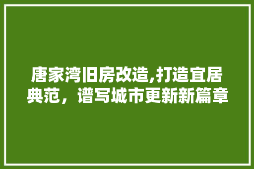 唐家湾旧房改造,打造宜居典范，谱写城市更新新篇章 景观设计