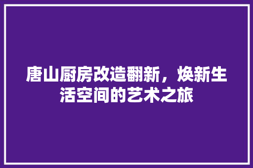 唐山厨房改造翻新，焕新生活空间的艺术之旅