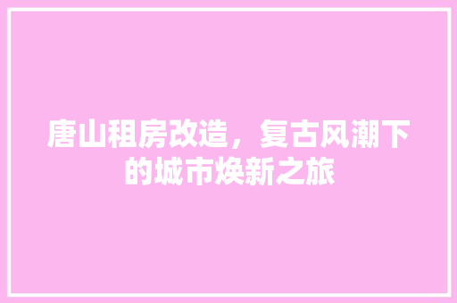 唐山租房改造，复古风潮下的城市焕新之旅 墙面装饰