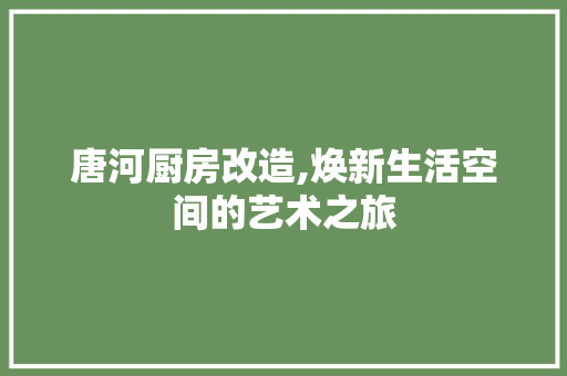 唐河厨房改造,焕新生活空间的艺术之旅 门窗装修