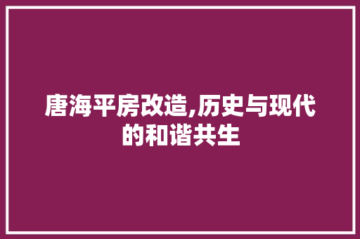 唐海平房改造,历史与现代的和谐共生 门窗装修