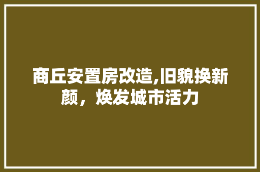 商丘安置房改造,旧貌换新颜，焕发城市活力 景观设计