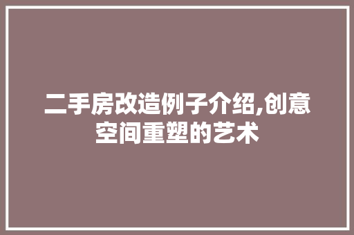 二手房改造例子介绍,创意空间重塑的艺术 门窗装修