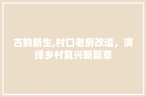 古韵新生,村口老房改造，演绎乡村复兴新篇章