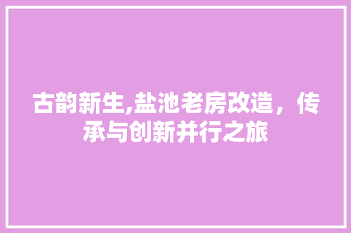 古韵新生,盐池老房改造，传承与创新并行之旅