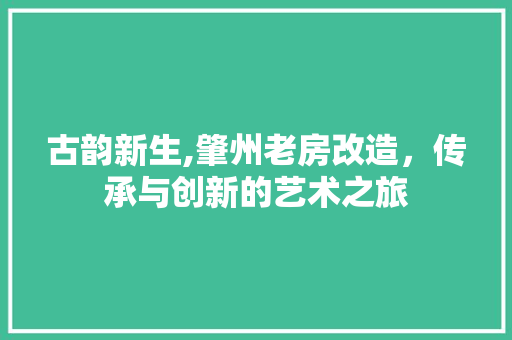 古韵新生,肇州老房改造，传承与创新的艺术之旅
