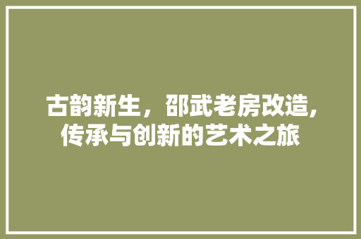 古韵新生，邵武老房改造,传承与创新的艺术之旅 装修攻略