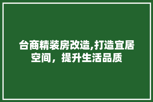 台商精装房改造,打造宜居空间，提升生活品质 建筑设计