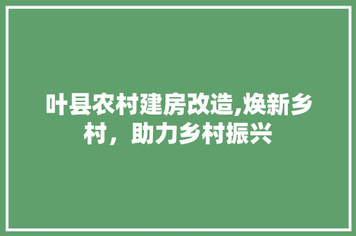 叶县农村建房改造,焕新乡村，助力乡村振兴
