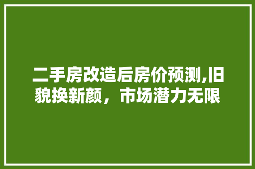 二手房改造后房价预测,旧貌换新颜，市场潜力无限 装修攻略