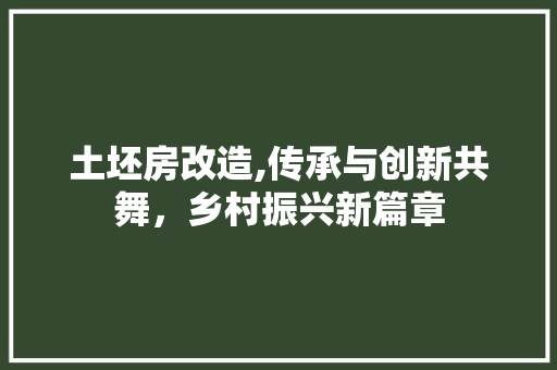 土坯房改造,传承与创新共舞，乡村振兴新篇章