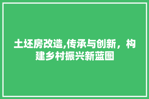 土坯房改造,传承与创新，构建乡村振兴新蓝图 隔断设计